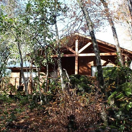 Villa Cabana Bosque Viejo Las Trancas Exterior foto