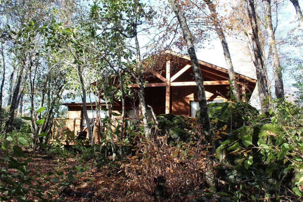 Villa Cabana Bosque Viejo Las Trancas Exterior foto
